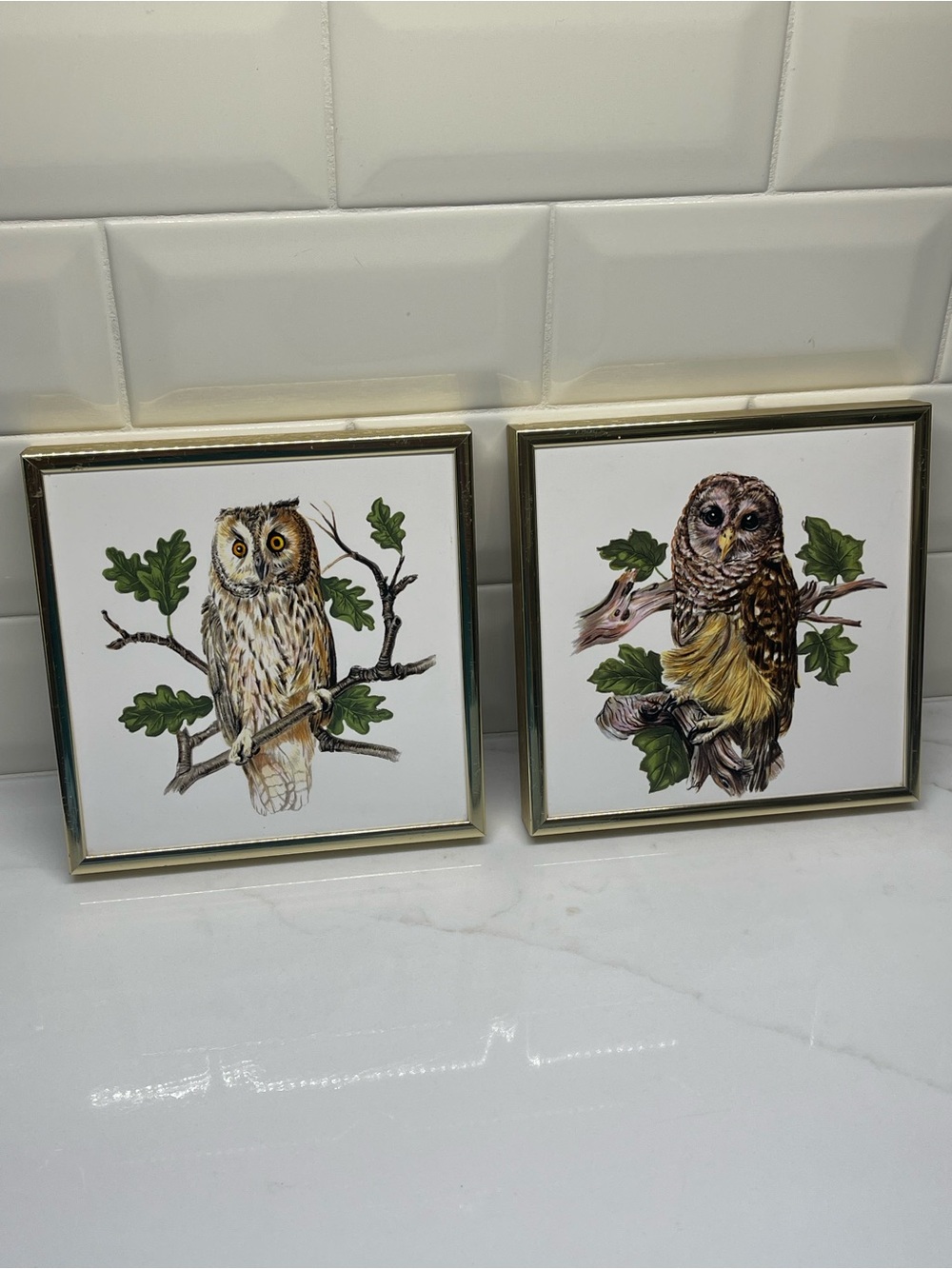 Hyalyn Framed Owl Wall Art Set Heavy Ceramic Cork backing - Gold Accent Frame